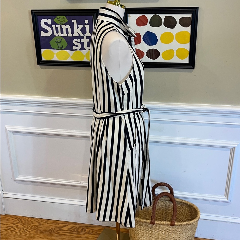 Anthropologie Black and White Striped Midi Dress - Picture 6 of 11